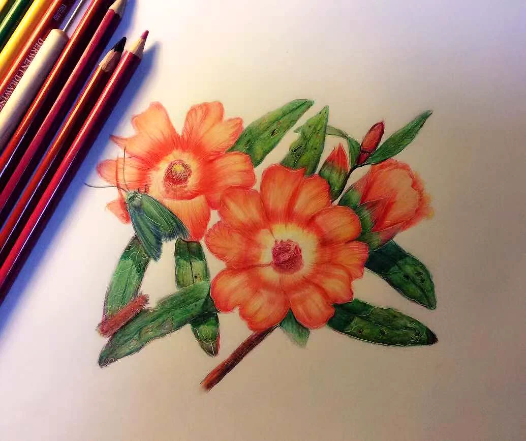 花间，彩铅手绘